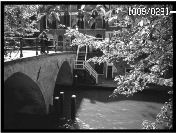 MINOLTA DIMAGE F100 - Slide show - 1