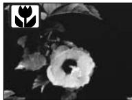 MINOLTA DIMAGE F100 - Digital-subject-program button - 3