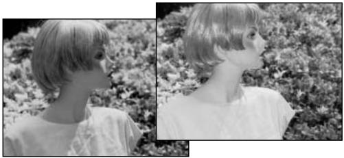 MINOLTA DIMAGE F100 - Flash modes - 2