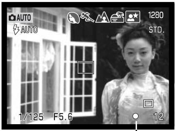 MINOLTA DIMAGE F100 - Focus lock - 2