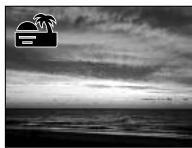 MINOLTA DIMAGE F100 - Digital-subject-program button - 7