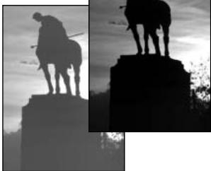 MINOLTA DIMAGE F100 - Shooting tips - 1