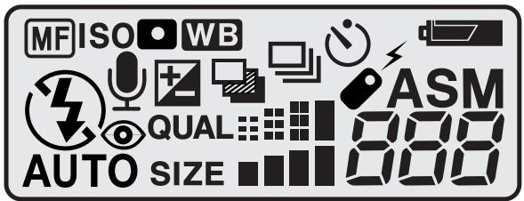 MINOLTA DIMAGE F100 - Data panel - 1