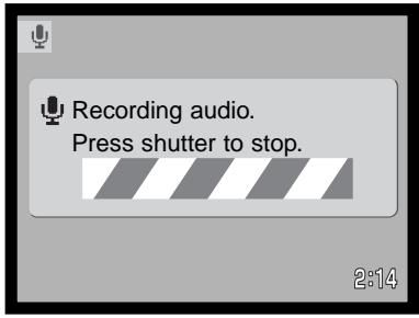 MINOLTA DIMAGE F200 - Recording audio - 2