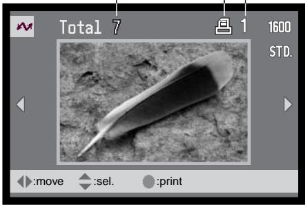MINOLTA DIMAGE F200 - Using USB DIRECT-PRINT - 3