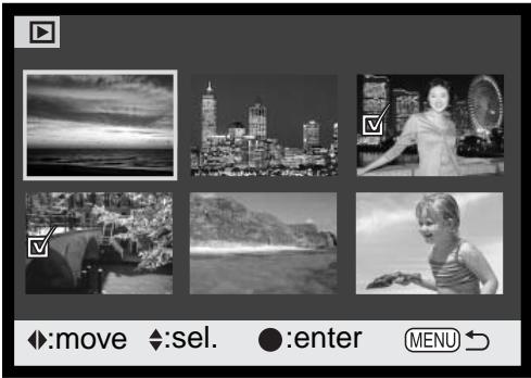 MINOLTA DIMAGE F200 - Frame-selection screen - 1