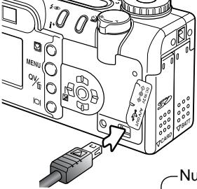 MINOLTA DIMAGE F200 - Using USB DIRECT-PRINT - 1