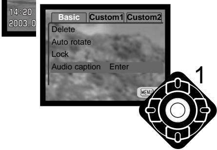 MINOLTA DIMAGE F200 - Audio captioning - 2