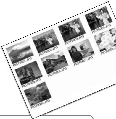 MINOLTA DIMAGE F200 - Ordering an Index Print - 1