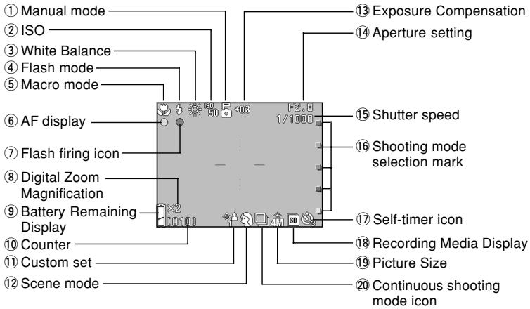 MINOLTA DIMAGE G400 - Image Display - 1