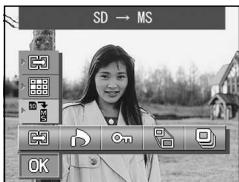 MINOLTA DIMAGE G400 - Copying and Moving Images - 2