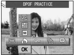 MINOLTA DIMAGE G400 - Selecting/Deselecting Images to Print (DPOF) - 5