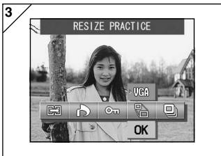 MINOLTA DIMAGE G400 - Reducing Image Size (Resizing) - 3