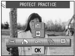 MINOLTA DIMAGE G400 - Setting/Canceling Protection for Your Important Images - 4