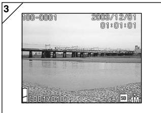 MINOLTA DIMAGE G400 - Viewing Multiple Pages at Once (Index Playback) - 3