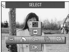 MINOLTA DIMAGE G400 - Setting/Canceling Protection for Your Important Images - 3