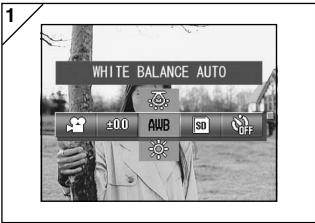 MINOLTA DIMAGE G400 - Adjusting White Balance - 1