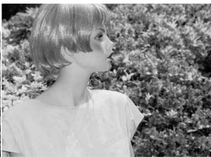 MINOLTA DIMAGE X20 - ENLARGED PLAYBACK - 26