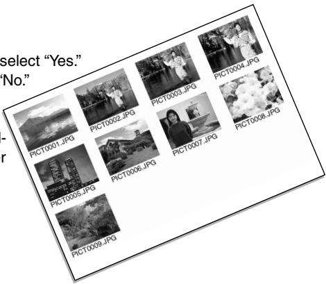 MINOLTA DIMAGE X20 - ORDERING AN INDEX PRINT - 1