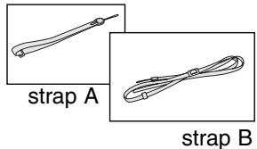 MINOLTA DIMAGE X20 - ATTACHING THE STRAP - 1