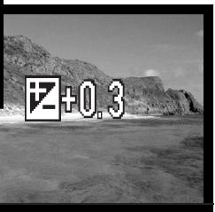 MINOLTA DIMAGE X20 - MAIN MENU NAVIGATION - MOVIE-MODE - 8