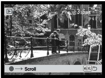 MINOLTA DIMAGE X20 - ENLARGED PLAYBACK - 2