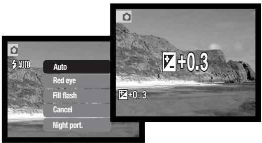 MINOLTA DIMAGE X21 - ENLARGED PLAYBACK - 13