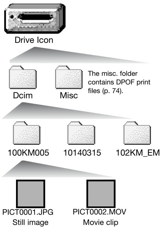 MINOLTA DIMAGE X21 - AUTO POWER OFF - DATA-TRANSFER MODE - 1
