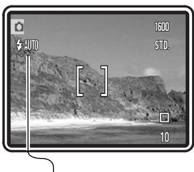 MINOLTA DIMAGE X21 - ENLARGED PLAYBACK - 19