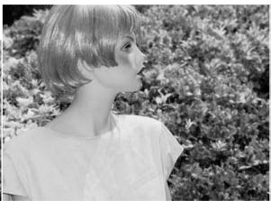 MINOLTA DIMAGE X21 - ENLARGED PLAYBACK - 31