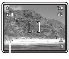 MINOLTA DIMAGE X21 - ENLARGED PLAYBACK - 33