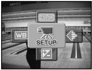 MINOLTA DIMAGE X31 - SETUP MENU - NAVIGATING THE SETUP MENU - 5
