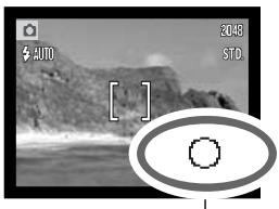 MINOLTA DIMAGE X31 - FOCUS Signals - 1
