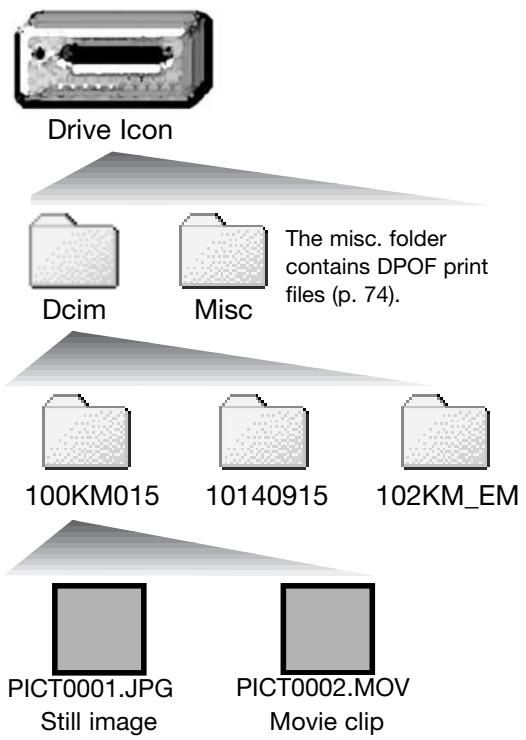 MINOLTA DIMAGE X31 - AUTO POWER OFF - DATA-TRANSFER MODE - 1