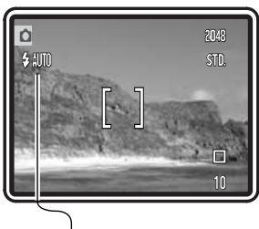MINOLTA DIMAGE X31 - ENLARGED PLAYBACK - 19