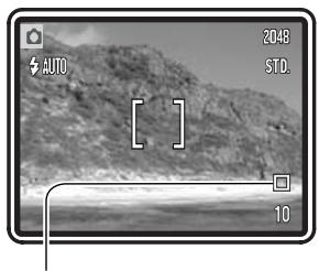 MINOLTA DIMAGE X31 - ENLARGED PLAYBACK - 33