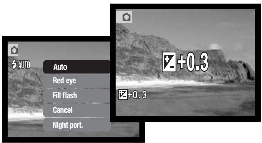 MINOLTA DIMAGE X31 - ENLARGED PLAYBACK - 13