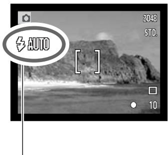MINOLTA DIMAGE X31 - FLASH SIGNALS - 1