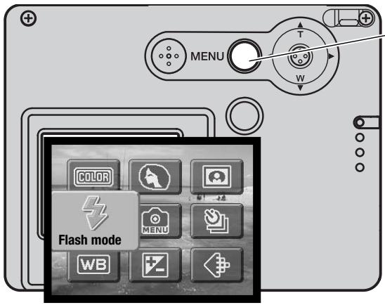 MINOLTA DIMAGE X31 - ENLARGED PLAYBACK - 10