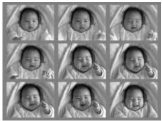 MINOLTA DIMAGE X31 - Multi frame - 2