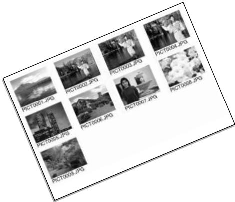 MINOLTA DIMAGE X31 - ORDERING AN INDEX PRINT - 1