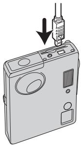 MINOLTA DIMAGE X31 - USINGPICTBRIDGE - 1
