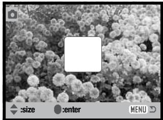 MINOLTA DIMAGE X60 - IMAGE PASTING - 8