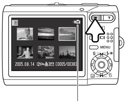 MINOLTA DIMAGE X60 - INDEX PLAYBACK - 1