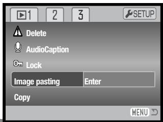 MINOLTA DIMAGE X60 - IMAGE PASTING - 2