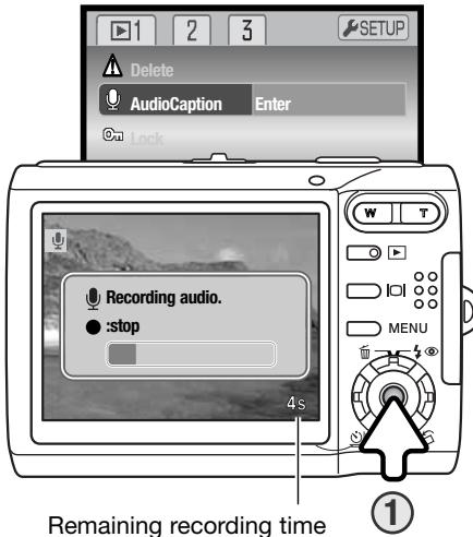 MINOLTA DIMAGE X60 - AUDIO CAPTION - 1