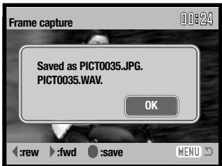 MINOLTA DIMAGE X60 - FRAME CAPTURE - 7