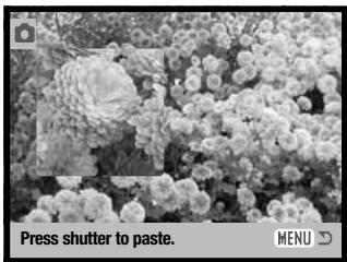 MINOLTA DIMAGE X60 - IMAGE PASTING - 13