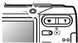 MINOLTA DIMAGE X60 - FLASH SIGNALS - 1