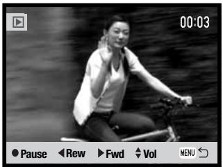 MINOLTA DIMAGE X60 - PLAYING BACK VOICE MEMOS AND AUDIO CAPTIONS - 10